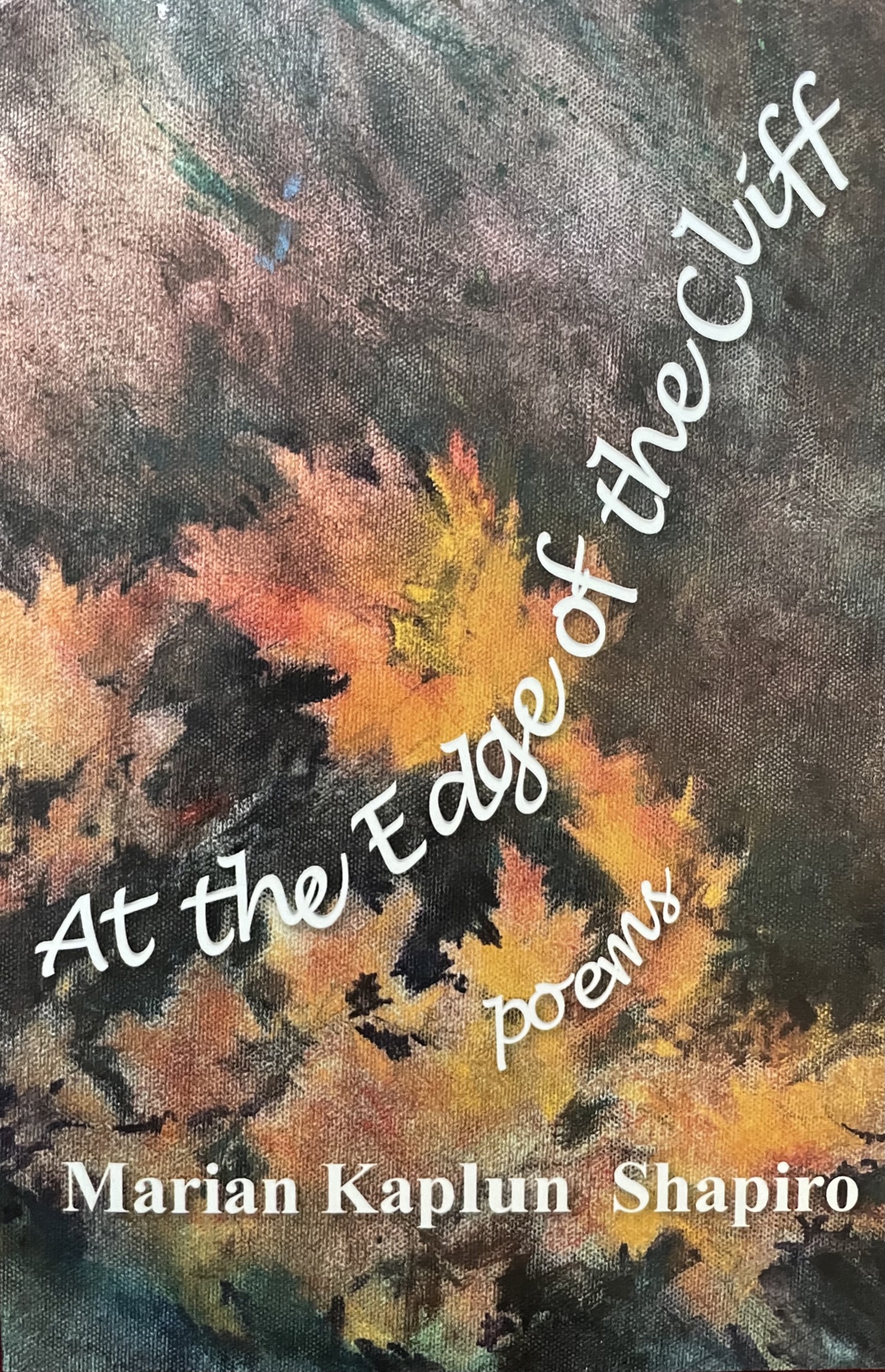 At the Edge of the Cliff book cover.
