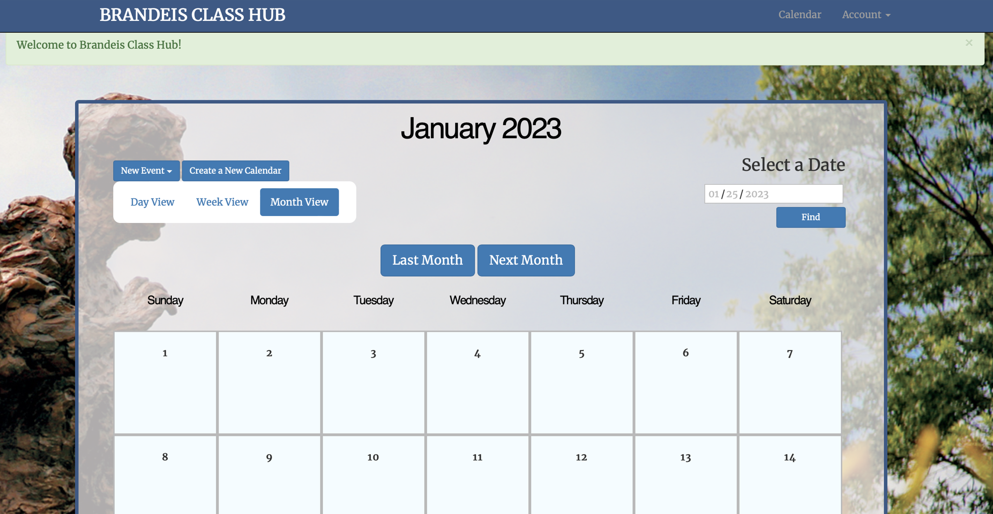 Software project example 3.