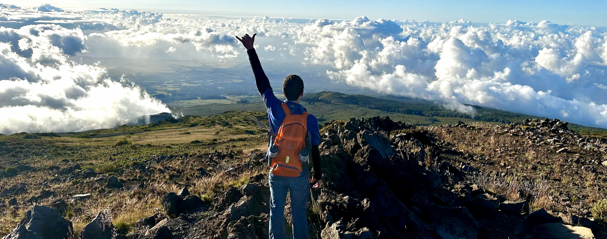 REPLACE: Describe the cover photo.